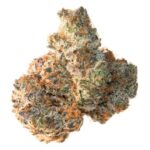 Close-up of Animal Cookie cannabis buds, showcasing its vibrant colors and dense trichomes