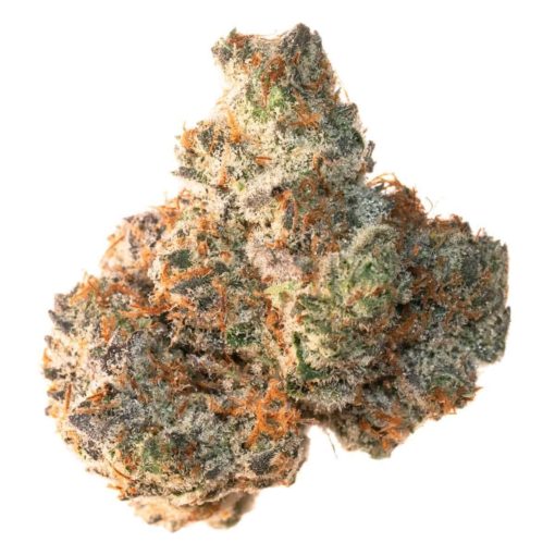 Buy Animal Cookies Strain Online