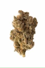 exotic AAA Nugs