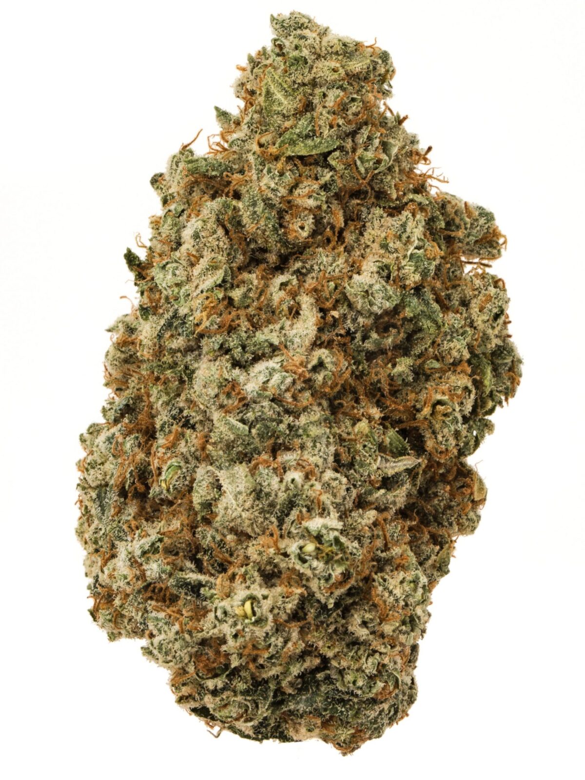 Buy Apple Pie strain from online dispensary