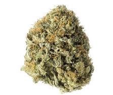 Buy Atomic OG strain Online