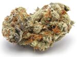 Buy Birthday Cake Kush Strain Online