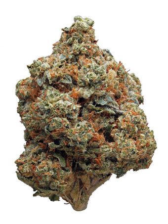 Buy Hashbar OG Strain Online