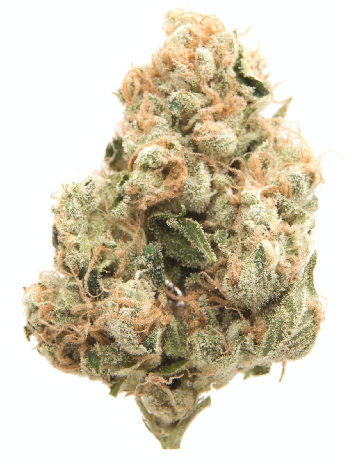 Buy Sour Diesel Cannabis Online