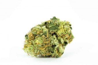 Buy Strawberry Cough Online