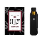 STIIIZY Bundle | Biiig STIIIZY + 1G STIIIZY POD