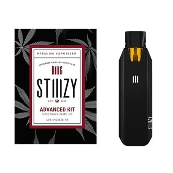 STIIIZY Bundle | Biiig STIIIZY + 1G STIIIZY POD