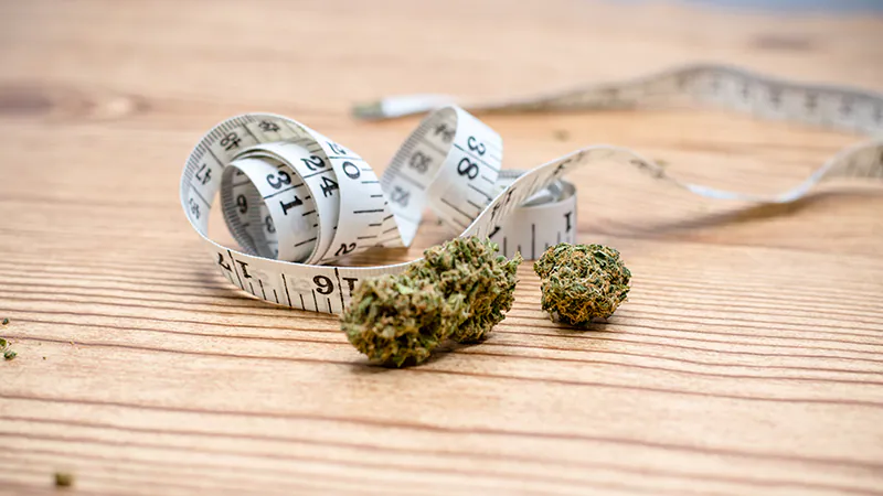Medical Cannabis For Weight Loss: Can Using Cannabis Make You Thinner?