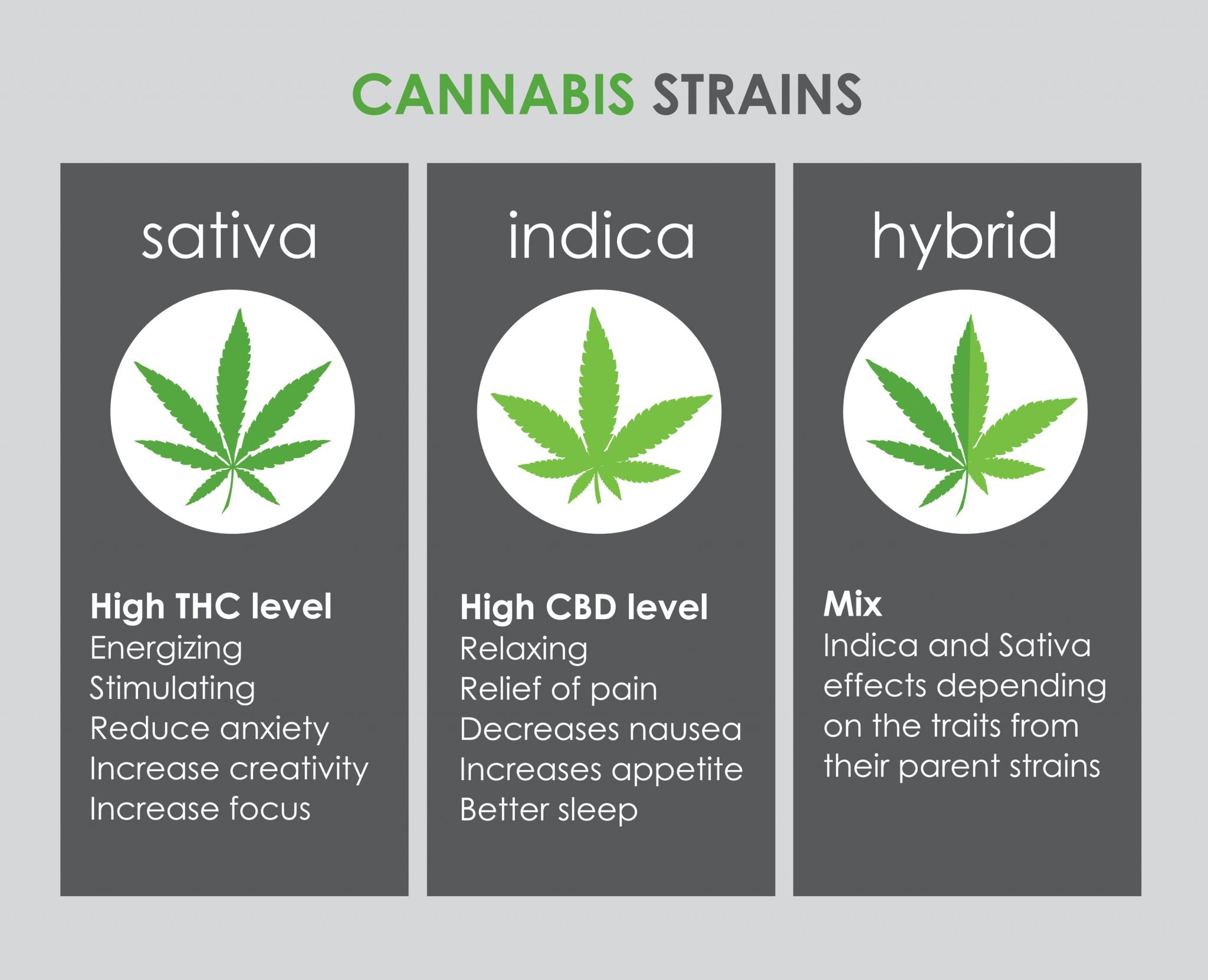 differences between Indica, sativa & hybrid