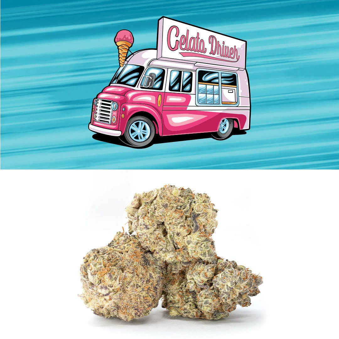 Gelato Driver Strain: The Perfect Combination of Sweetness and Serenity