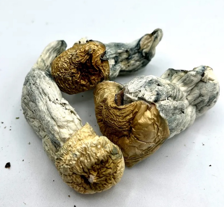 APE Magic Mushrooms (Albino Penis Envy)