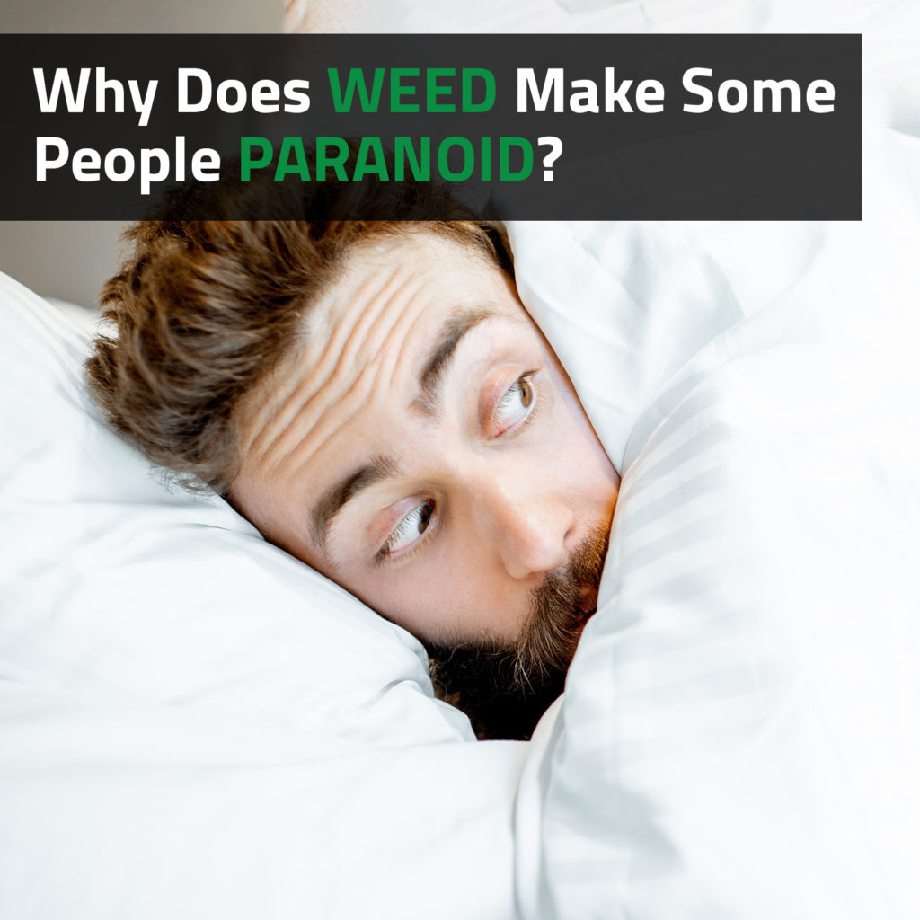 Why does weed make some people paranoid?