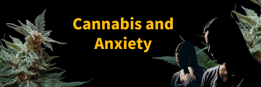 How Cannabis Supports Anxiety and Stress Reduction