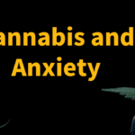 How Cannabis Supports Anxiety and Stress Reduction