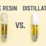 Illustration showing the pros and cons of live resin carts and distillate carts.