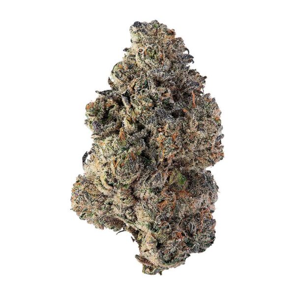 Purple Octane cannabis strain with deep purple buds and frosty trichomes, known for its grape-gas aroma and relaxing effects.